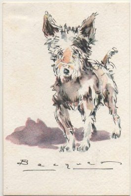 POSTAL DE ANIMALES. PERROS. SERIE B Nº 12