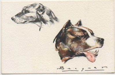 POSTAL DE ANIMALES. PERROS. SERIE B Nº 3