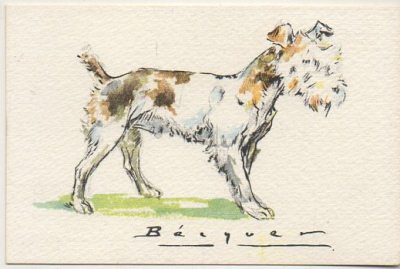 POSTAL DE ANIMALES. PERROS. SERIE B Nº 6