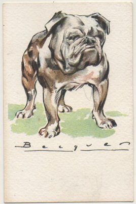 POSTAL DE ANIMALES. PERROS. SERIE B Nº 7