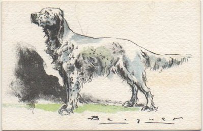 POSTAL DE ANIMALES. PERROS. SERIE B Nº 3