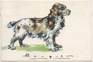 POSTAL DE ANIMALES. PERROS. SERIE B Nº 1