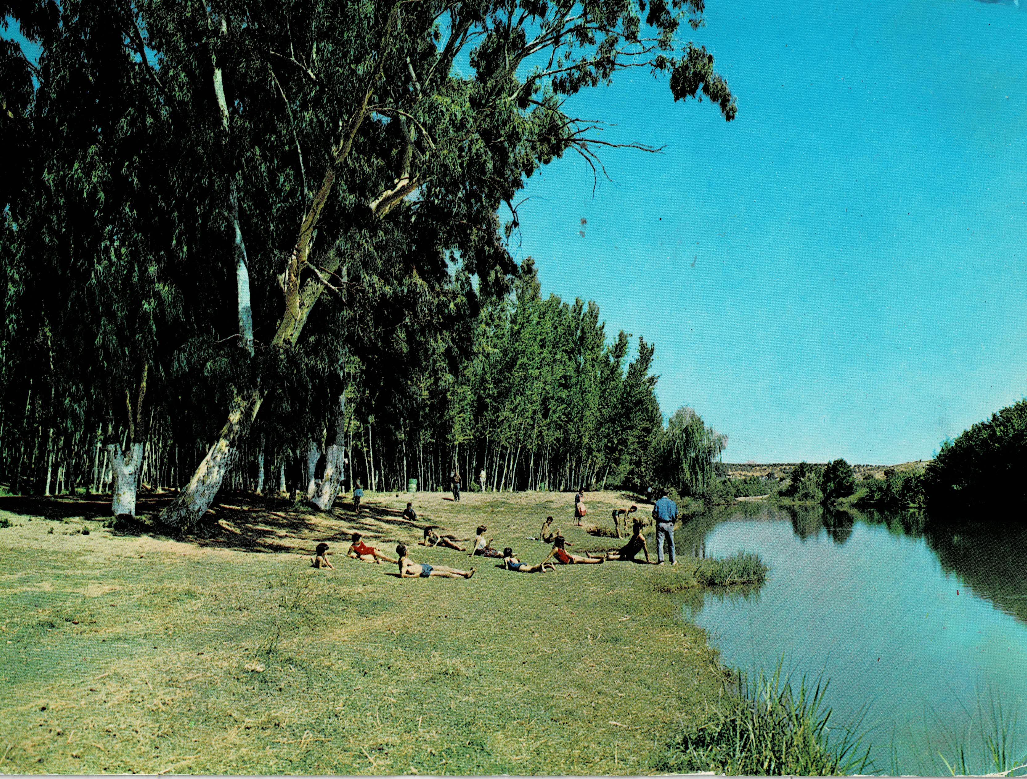 POSTAL MODERNA DE JAEN. BAILEN. PLAYA LA CHOPERA