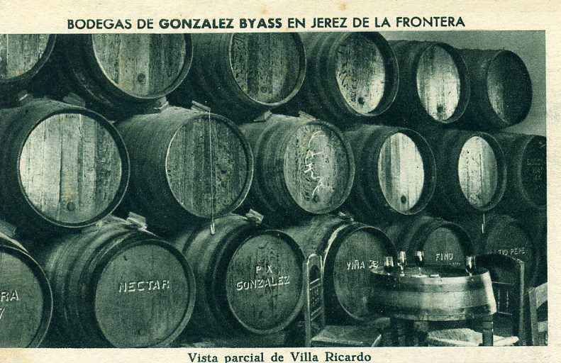 POSTAL DE JEREZ. GONZALEZ BYASS. VISTA PARCIAL DE VILLA RICARDO