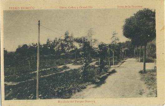 POSTAL DE JEREZ DE LA FRONTERA. BODEGA DOMECQ. ROSALEDA DEL PARQUE DOMECQ