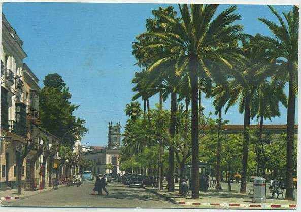 POSTAL DE JEREZ. ALAMEDA DEL MARQUES CASA DOMECQ Nº 5