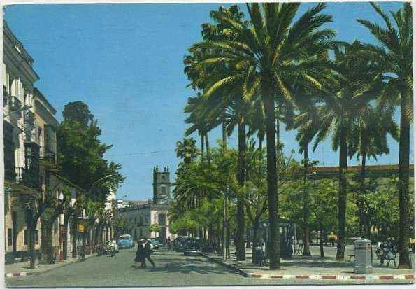 POSTAL DE JEREZ. ALAMEDA DEL MARQUES DE CASA DOMECQ Nº 5
