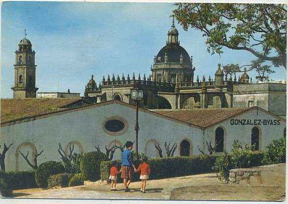 POSTAL DE JEREZ. IGLESIA COLEGIAL. VISTA POSTERIOR Nº 13