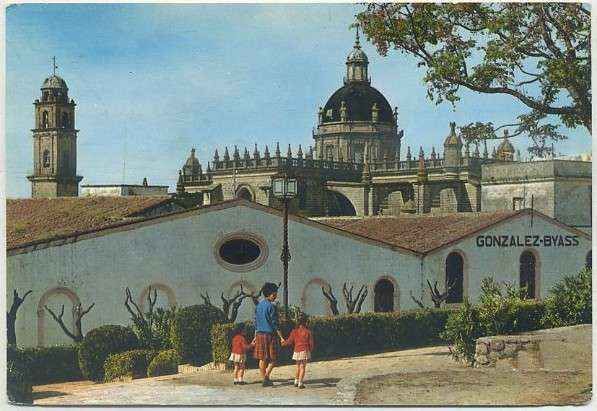 POSTAL DE JEREZ. IGLESIA COLEGIAL. VISTA POSTERIOR Nº 13