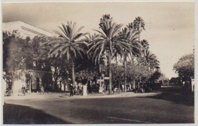 POSTAL DE JEREZ. ALAMEDA CRISTINA Nº 224