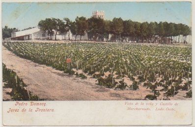 POSTAL ANTIGUA DE JEREZ. PEDRO DOMECQ. VISTA DE LA VIÑA Y CASTILLO DE MARCHARNUDO
