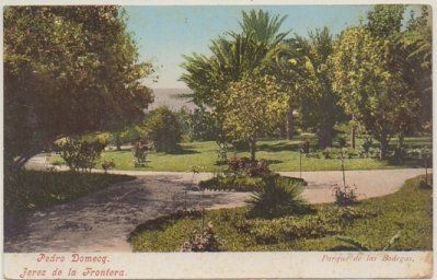 POSTAL ANTIGUA DE JEREZ. PEDRO DOMECQ. PARQUE DE LAS BODEGAS