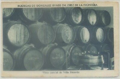 POSTAL DE JEREZ. BODEGAS GONZALEZ BYASS. VISTA PARCIAL DE VILLA RICARDO Nº 42