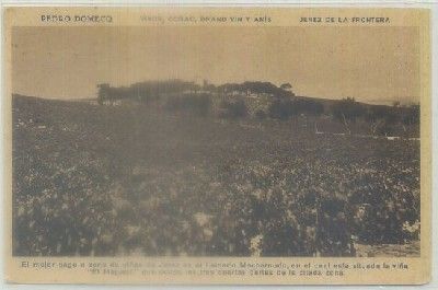 POSTAL ANTIGUA DE JEREZ. PEDRO DOMEC. EL MEJOR PAGO O ZONA DE VIÑAS MACHARNUDO
