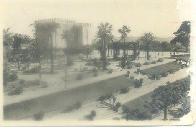 POSTAL DE JEREZ. ALAMEDA FORTUN DE TORRE