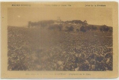 POSTAL ANTIGUA DE JEREZ. PEDRO DOMECQ. VISTA DE LA VIÑA "EL MAJUELO"