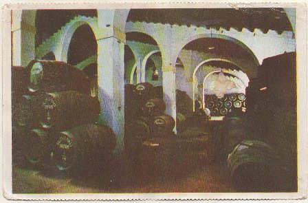 POSTAL DE JEREZ. BODEGAS DE LA CONSTANCIA. GONZALEZ BYASS