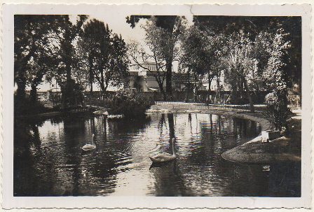 POSTAL DE JEREZ. PASEO DEL TEMPUL. ESTANQUE DE LOS CISNES