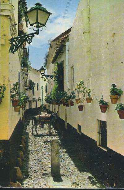 POSTAL DE MALAGA CALLE TIPICA