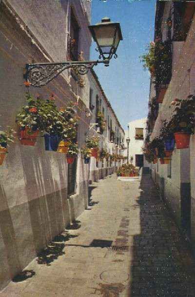 POSTAL DE MALAGA CALLE TIPICA