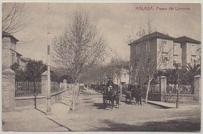 POSTAL ANTIGUA DE MALAGA. PASEO DEL LIMONAR
