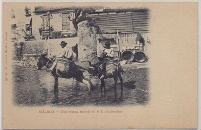 POSTAL ANTIGUA DE MALAGA. UNA ESCENA NATURAL EN EL GUADALMEDINA