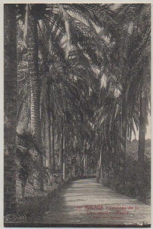 POSTAL DE MALAGA. JARDINES DE LA CONCEPCION. PASEO