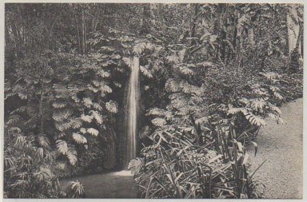 POSTAL DE MALAGA. JARDINES DE LA CONCEPCION. CASCADA