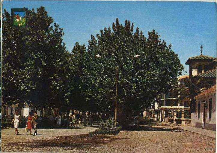 POSTAL TORRE DEL MAR. PASEO DE LARIOS