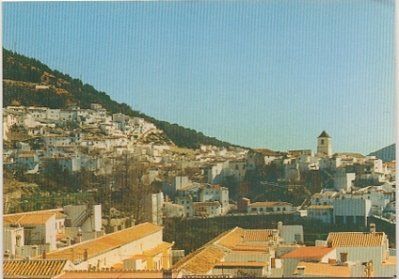 POSTAL DE MALAGA. CANILLAS DE ACEITUNO. VISTA GENERAL