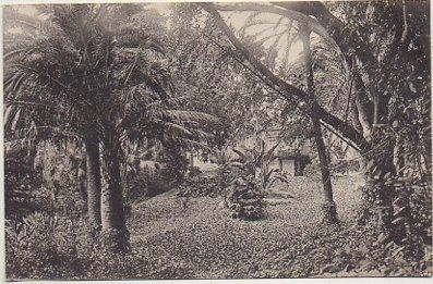 POSTAL ANTIGUA DE MALAGA. JARDINES DE LA CONCEPCION