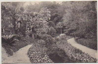 POSTAL ANTIGUA DE MALAGA. JARDINES DE LA CONCEPCION