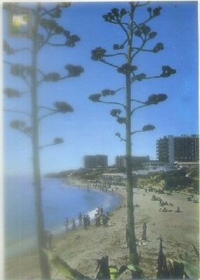 POSTAL DE MALAGA. TORREMOLINOS-BENALMADENA. PLAYA FUENTE DE LA SALUD