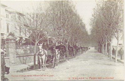 POSTAL DE MALAGA. PASEO DEL LIMONAR. REPRODUCCION