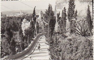 POSTAL DE MALAGA. JARDINES DE PUERTA OSCURA
