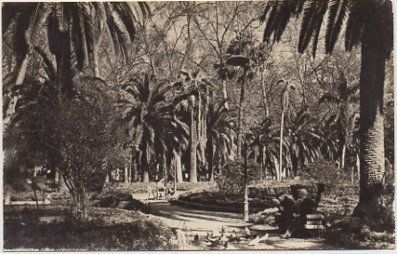 POSTAL DE MALAGA. PARQUE DE CANOVAS