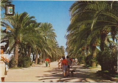 POSTAL DEL PUERTO SANTA MARIA. PARQUE CALDERON Nº 52