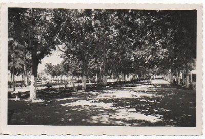 POSTAL DEL PUERTO SANTA MARIA. PARQUE DEL GENERALISIMO