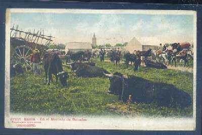 POSTAL ANTIGUA DE SEVILLA. EN EL MERCADO DE GANADOS