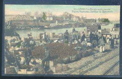POSTAL ANTIGUA DE SEVILLA. ENCAJONANDO NARANJAS FLORIDO HERMANOS, SANLUCAR DE BARRAMEDA
