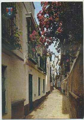 POSTAL DE SEVILLA. CALLE DE LA PIMIENTA Nº 105