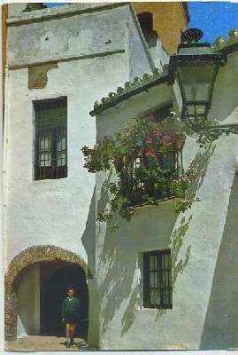 POSTAL DE SEVILLA. RINCON TIPICO SEVILLANO Nº 123