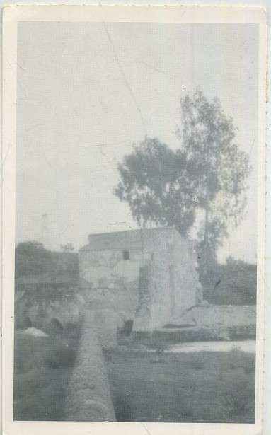 POSTAL DE ALCALA DE GUADAIRA. (REPRODUCCION): MOLINO DE PELAY CORREA 1960