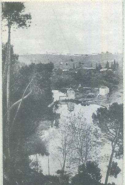 POSTAL DE ALCALA DE GUADAIRA. (REPRODUCCION): ALCALA DE GUADAIRA