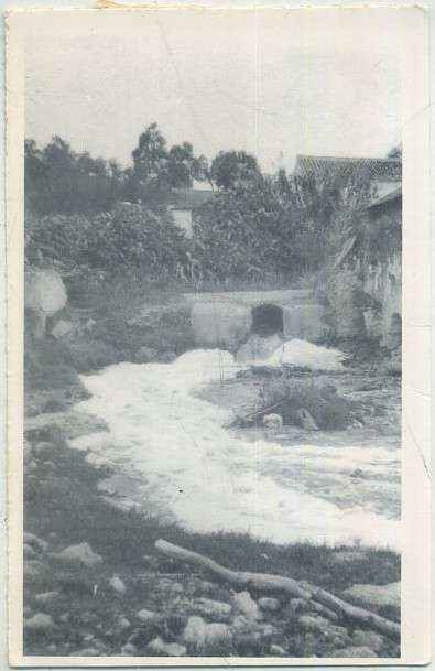 POSTAL DE ALCALA DE GUADAIRA. (REPRODUCCION): RIO CON ESPUMA DE MOLINO