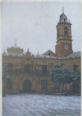 POSTAL DE SEVILLA. LORA DEL RIO. RECUERDO NEVADA DIA 10-1-2010