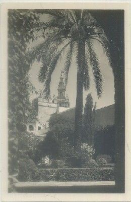 POSTAL DE SEVILLA. LOS ALCAZARES. PATIO DEL LEON