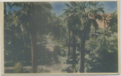 POSTAL DE SEVILLA. REALES ALCAZARES. JARDINES Nº 10