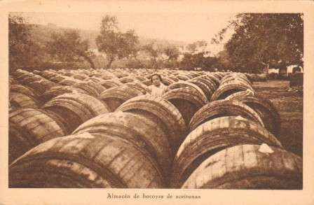 SEVILLA. POSTAL ANTIGUA DE ACEITUNAS. ALMACEN DE BOCYES DE ACEITUNAS.