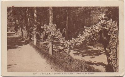 POSTAL ANTIGUA DE SEVILLA. PARQUE DE MARIA LUISA. PATIO DE LOS ROSALES Nº 110